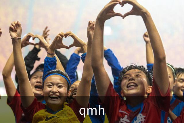 qmh公司简介图片